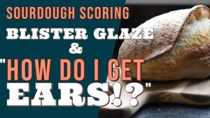 Sourdough Fermentation Mechanics Reveal 4 Proven Secrets to Master Magnificent Bread showing sourdough fermentation mechanics