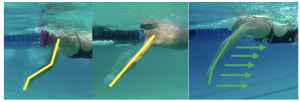 Swimming propulsion mechanics and 4 proven tweaks that build effortless speed showing swimming propulsion mechanics