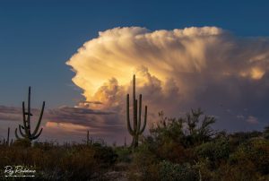 Arizona Weather Tornado Warning Sparks 4 Alarming Impacts Across the Southwest illustrating arizona weather tornado warning
