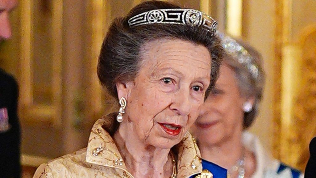 Princess Anne Meander Tiara Oman Banquet Look Unveils 4 Strategic Diplomatic Triumphs illustrating princess anne meander tiara oman banquet