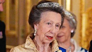 Princess Anne Meander Tiara Oman Banquet Look Unveils 4 Strategic Diplomatic Triumphs illustrating princess anne meander tiara oman banquet
