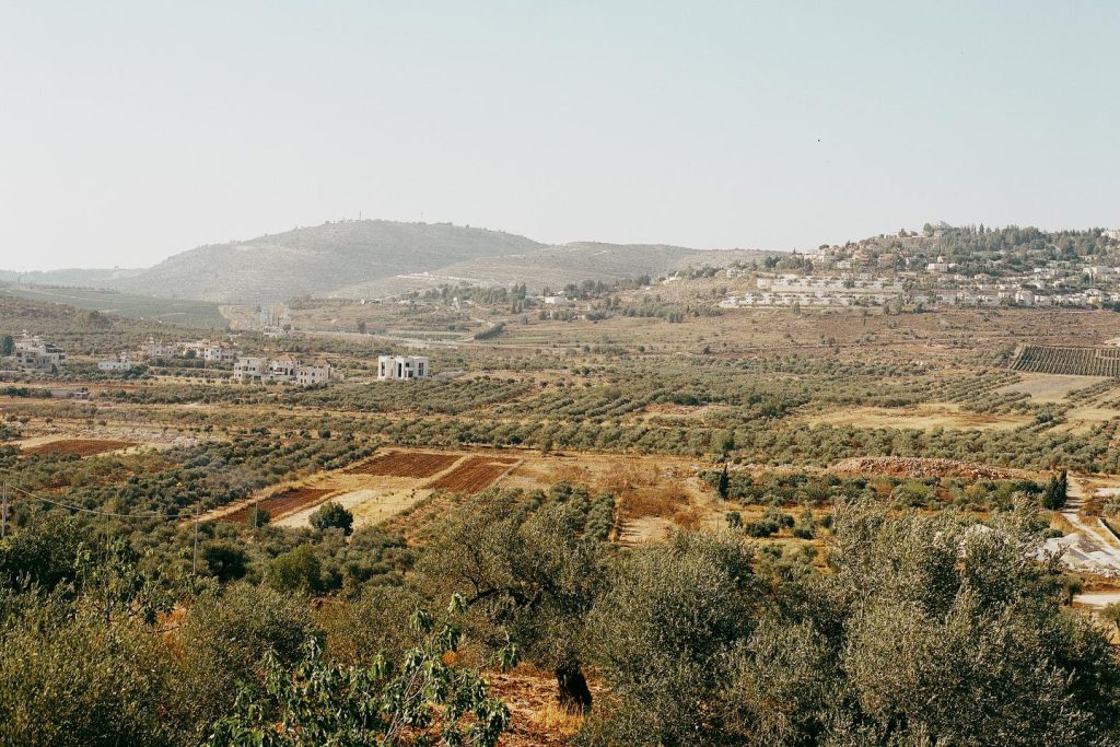 West Bank Settler Attacks Spark 3 Major Diplomatic Flashpoints and Fierce Outrage illustrating west bank settler attacks