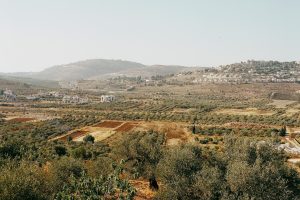West Bank Settler Attacks Spark 3 Major Diplomatic Flashpoints and Fierce Outrage illustrating west bank settler attacks