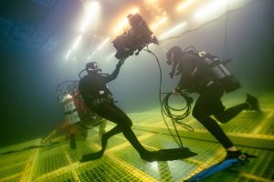 Whalefall Sparks Global Frenzy With 4 Major Reasons This Grueling Thriller Polarizes Critics illustrating whalefall