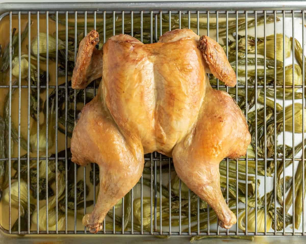 Detailed breakdown illustrating why dry brining meat matters