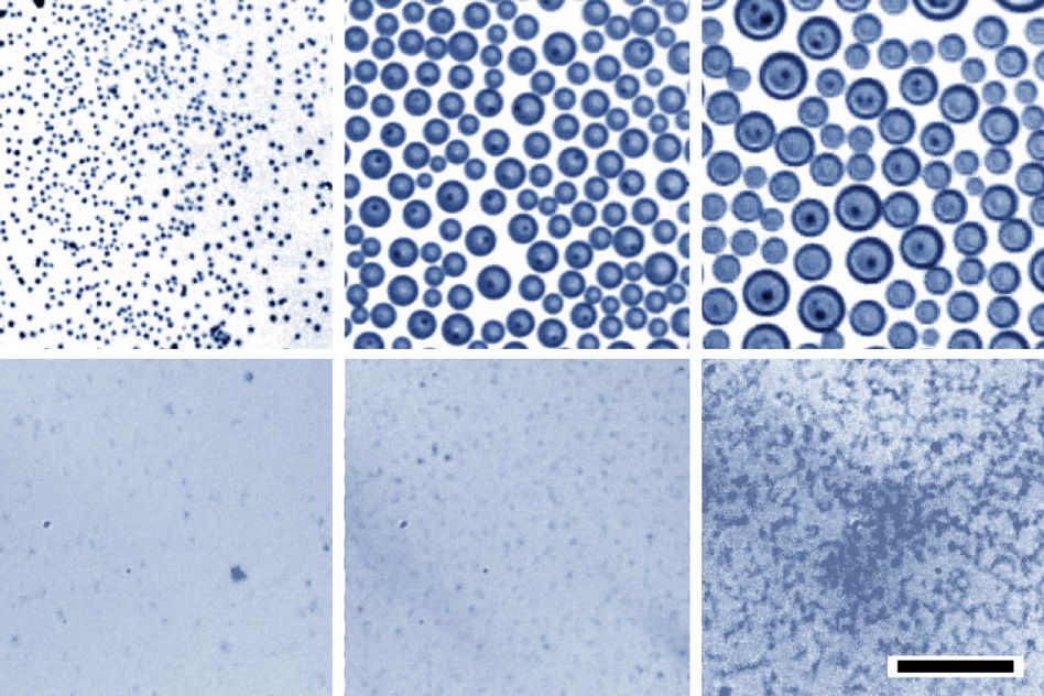 Detailed breakdown illustrating why emulsion stability mechanics matters