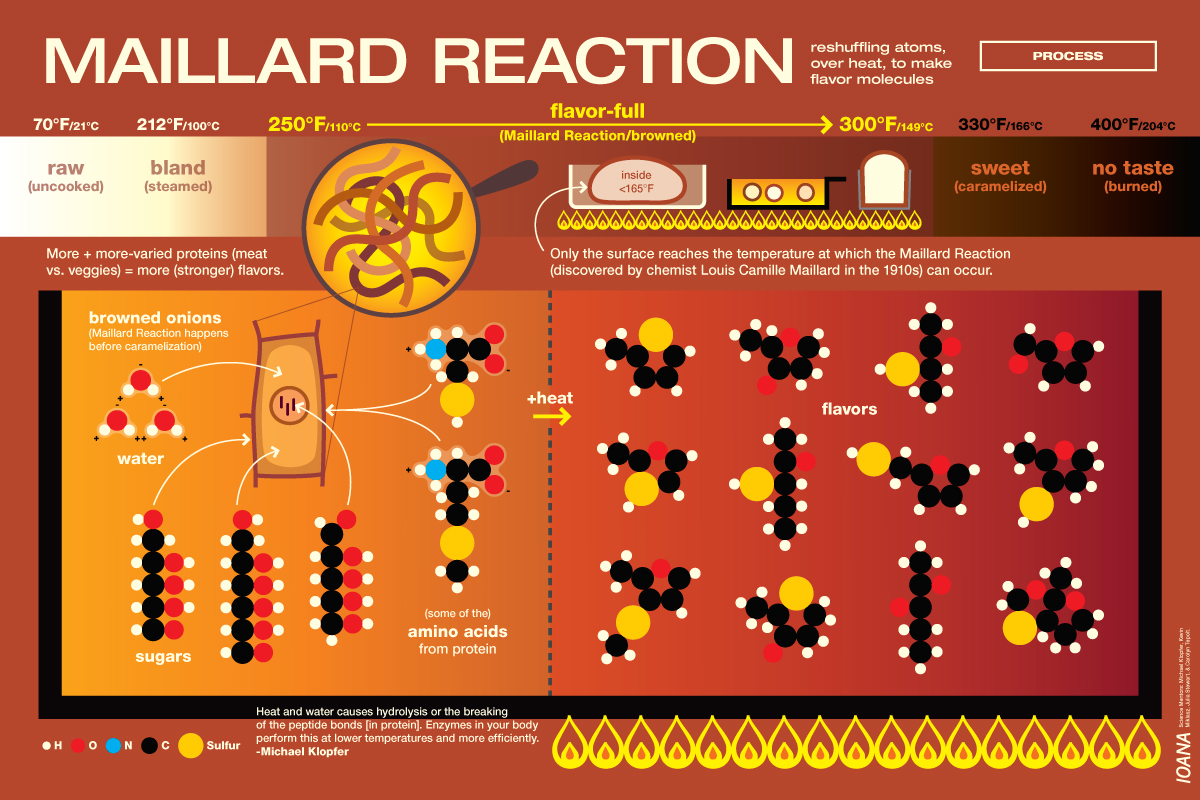 Detailed breakdown illustrating why maillard reaction mechanics matters