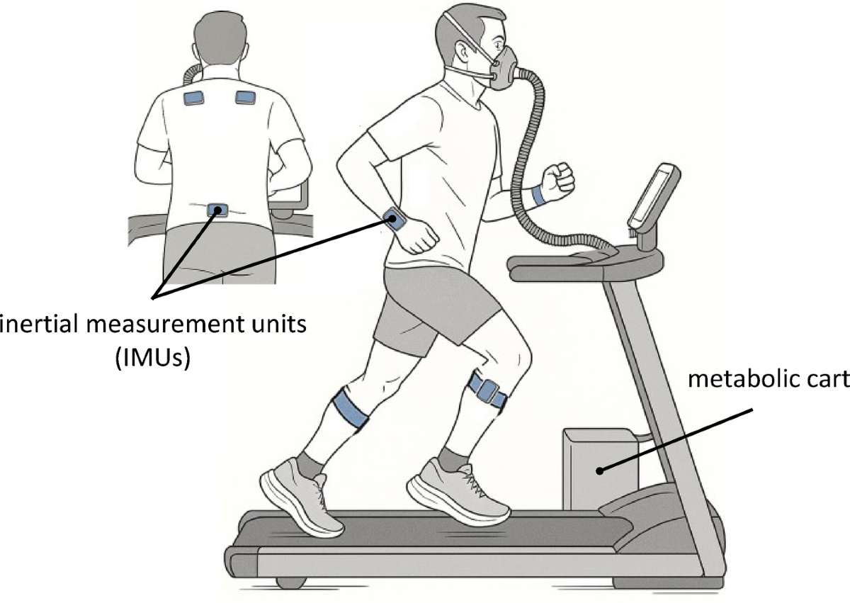Detailed breakdown illustrating why running economy matters