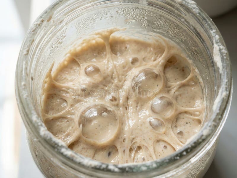 Detailed breakdown illustrating why sourdough fermentation mechanics matters