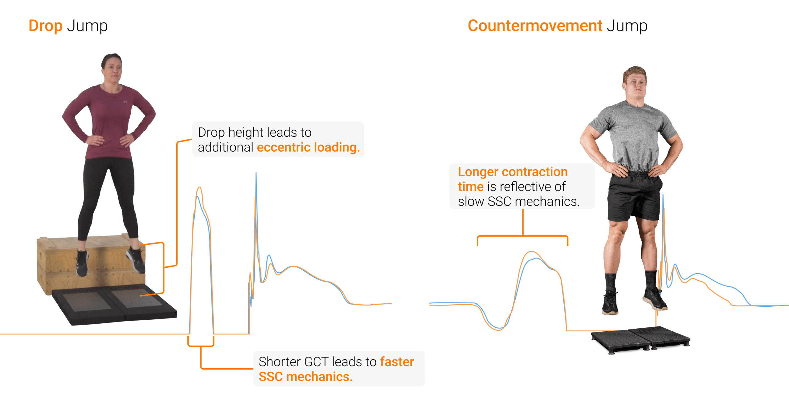 Detailed breakdown illustrating why stretch shortening cycle matters