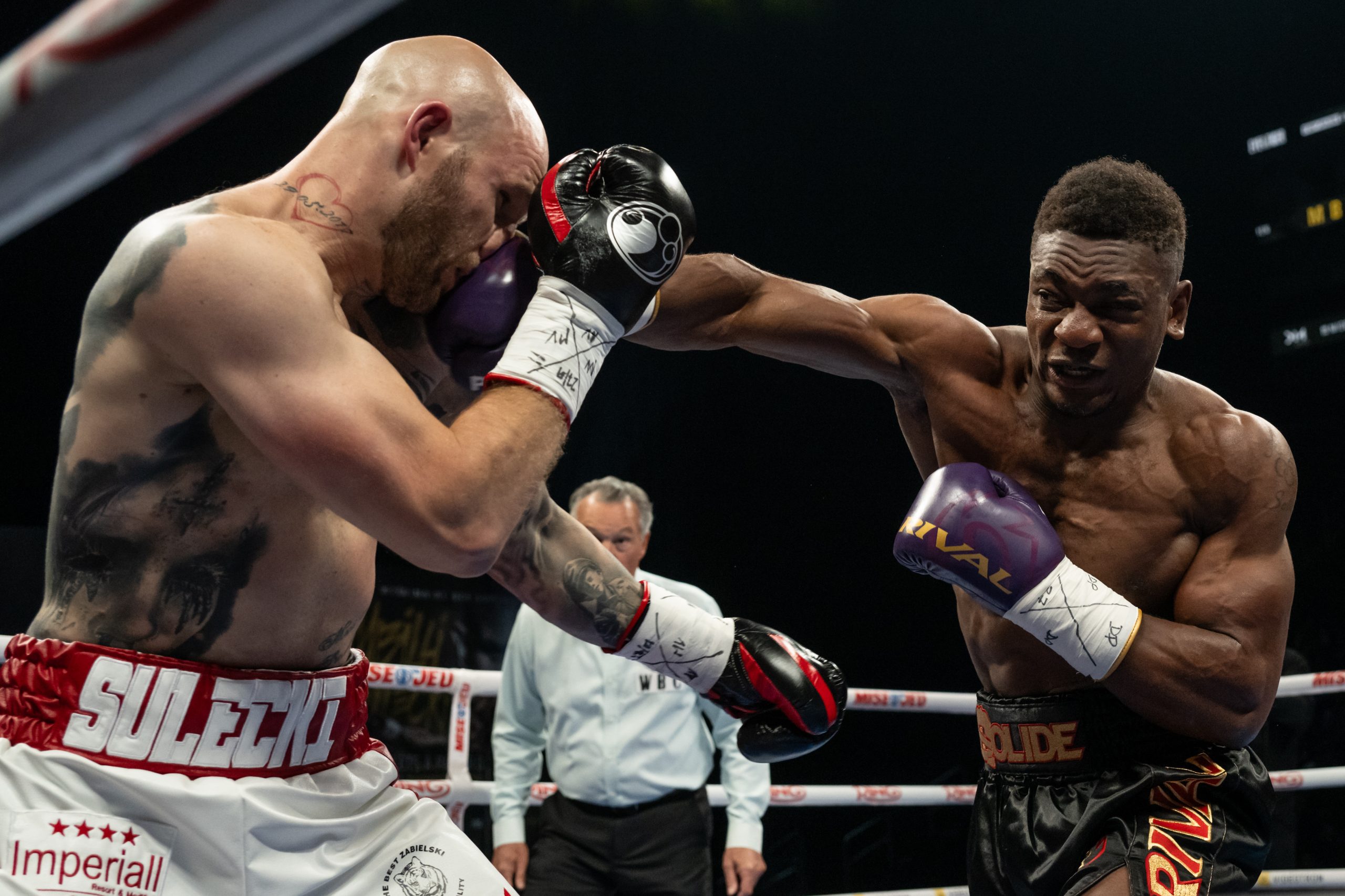 Detailed analysis view examining canelo fight