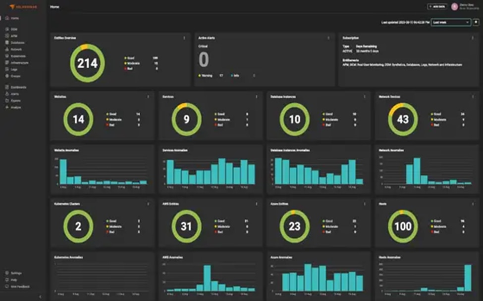 Detailed analysis view examining google outage