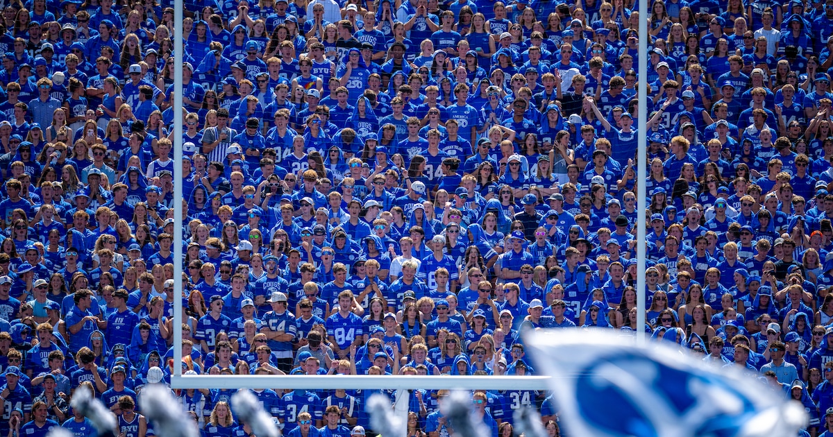 Detailed analysis view examining kalani sitake