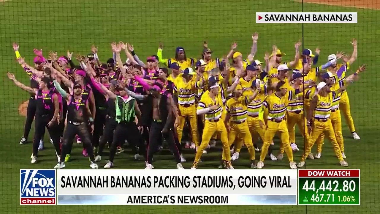 Detailed analysis view examining savannah bananas