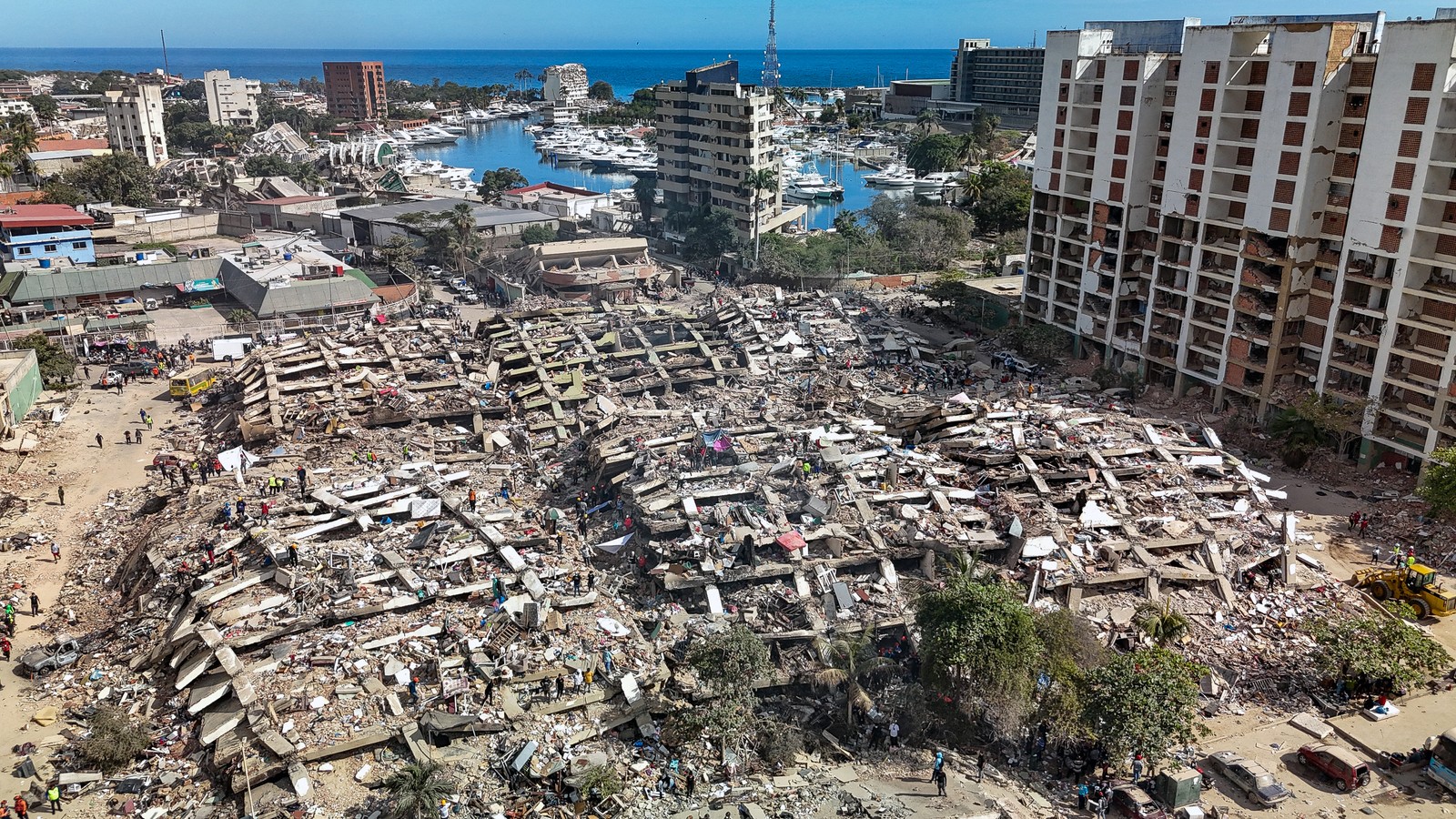 Detailed analysis view examining terremoto