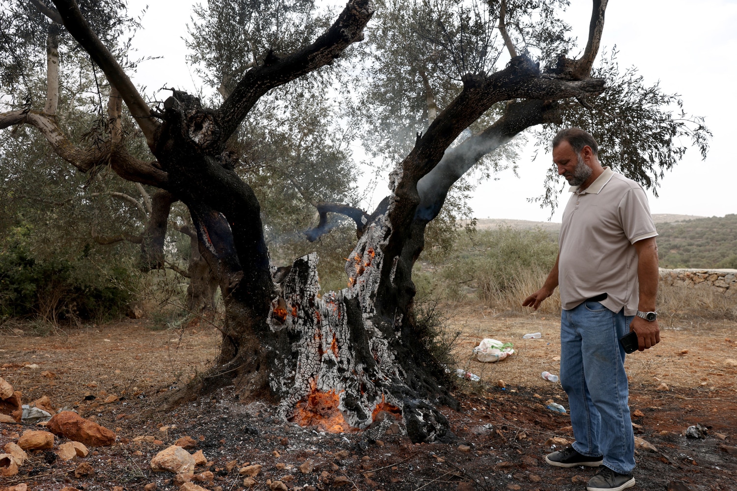 Detailed analysis view examining west bank settler attacks
